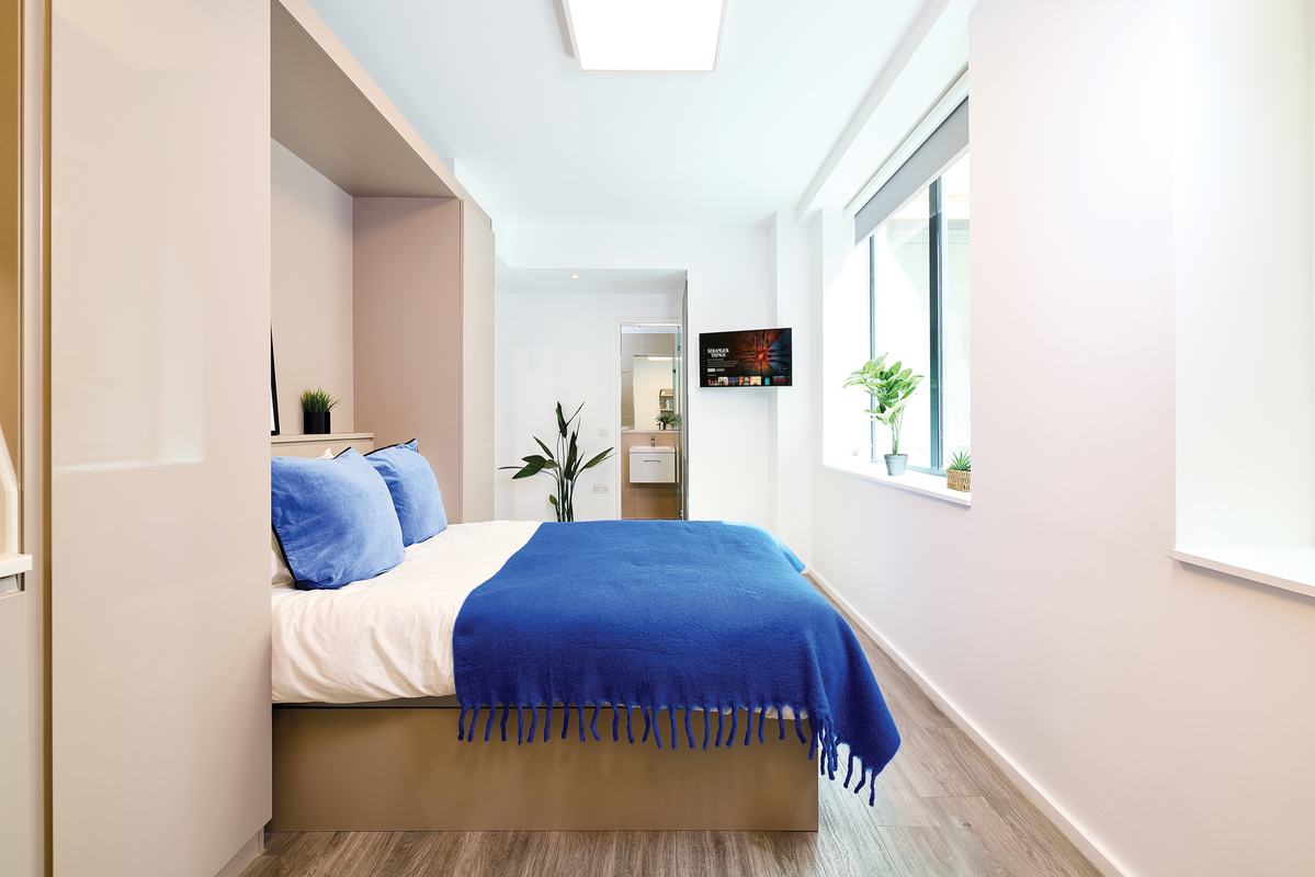 A modern, bright bedroom with a neatly made bed featuring blue pillows and a blue throw, a large window with plants, a wall-mounted TV, and light wood flooring.