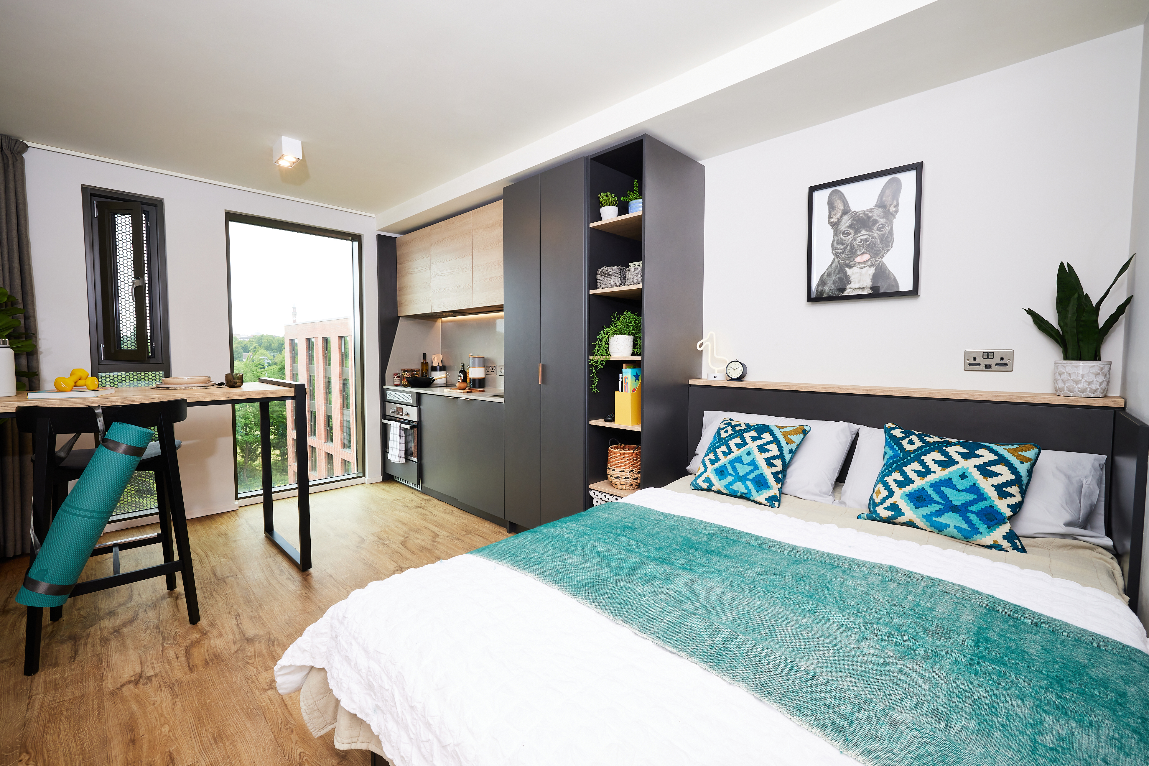 A modern studio apartment with a neatly made bed featuring teal accents. A kitchenette with wooden cabinets and a small dining area with bar stools is visible. Large windows let in natural light, and a framed dog print hangs on the wall.