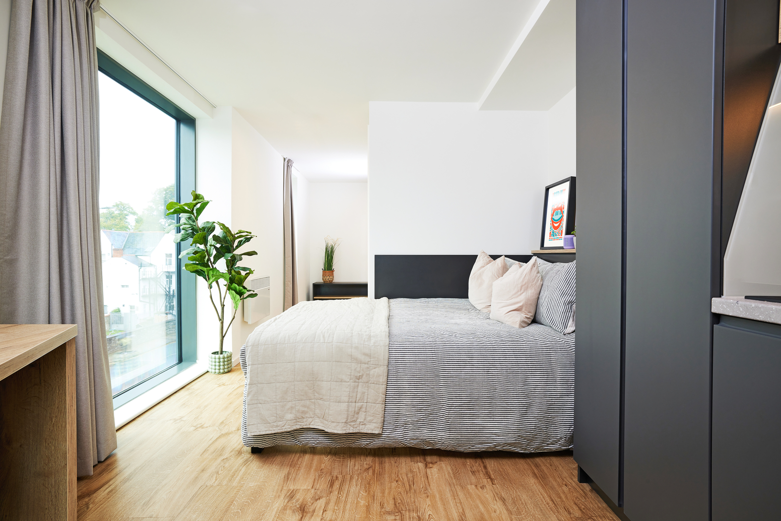 Modern bedroom with a large bed featuring grey and white bedding, pillows, and a small art piece above the headboard. A tall glass door on the left lets in natural light. A potted plant stands near the window, and wood flooring adds warmth.