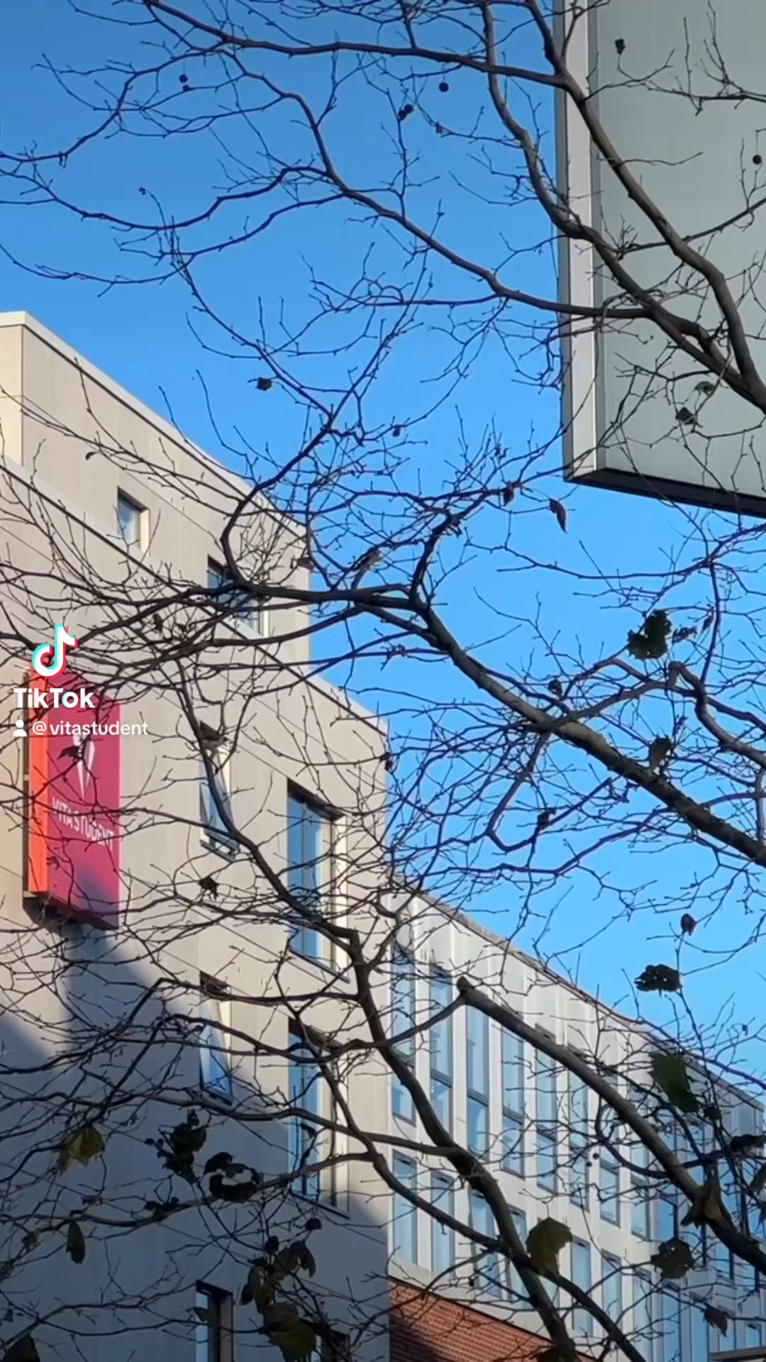 A leafless tree with a few remaining leaves stands in front of a modern building with a red banner on its facade. The sky is clear and blue. A TikTok username is visible in the image.