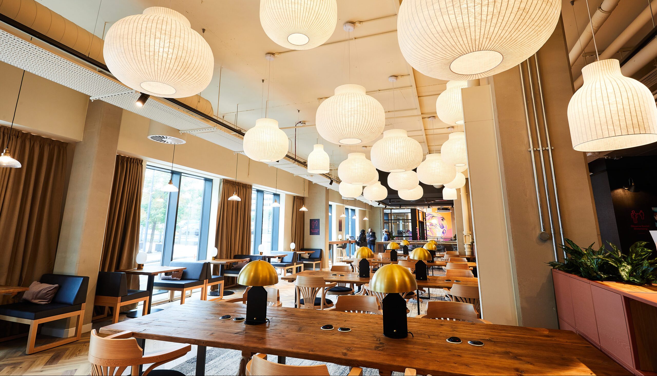 A modern café interior in Portland features large crescent-shaped white pendant lights hanging from the ceiling. Neatly arranged wooden tables and chairs complement windows on the left, which let in natural light, illuminating the warmly decorated space with plants and cozy seating.