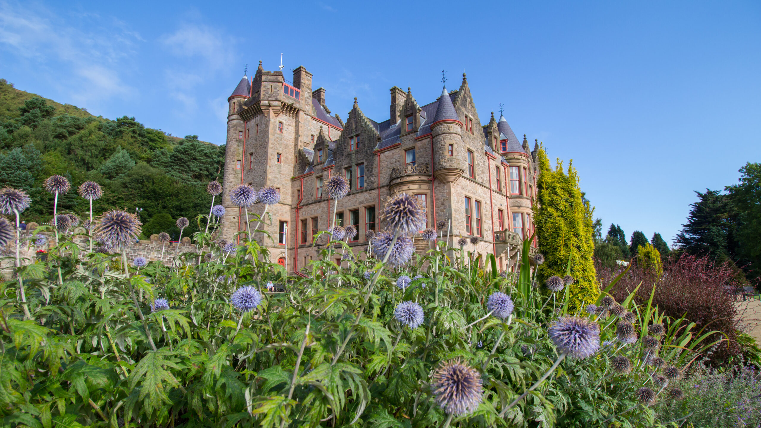 A historic, castle-like building with turrets and spires is surrounded by lush greenery and tall, purple thistle flowers. The sky is clear and blue, enhancing the picturesque setting.