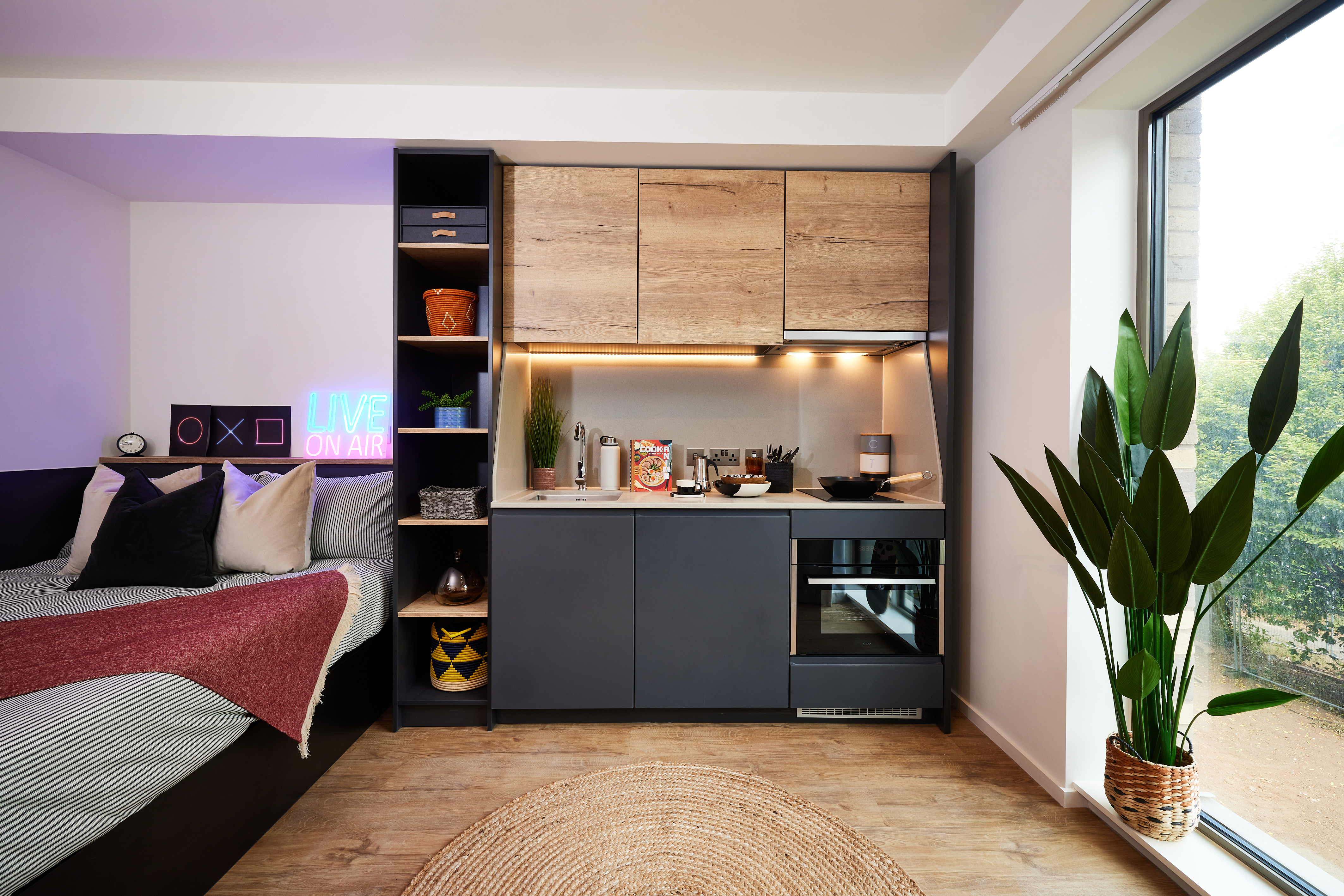 Modern studio apartment in Warwick featuring a cozy bed with red and gray bedding, a small kitchen with wood and dark cabinets, plants, and decorative items. The "LIVE ON AIR" neon sign adds a vibrant touch. A large window offers natural light and a view of nearby Cannon Park.