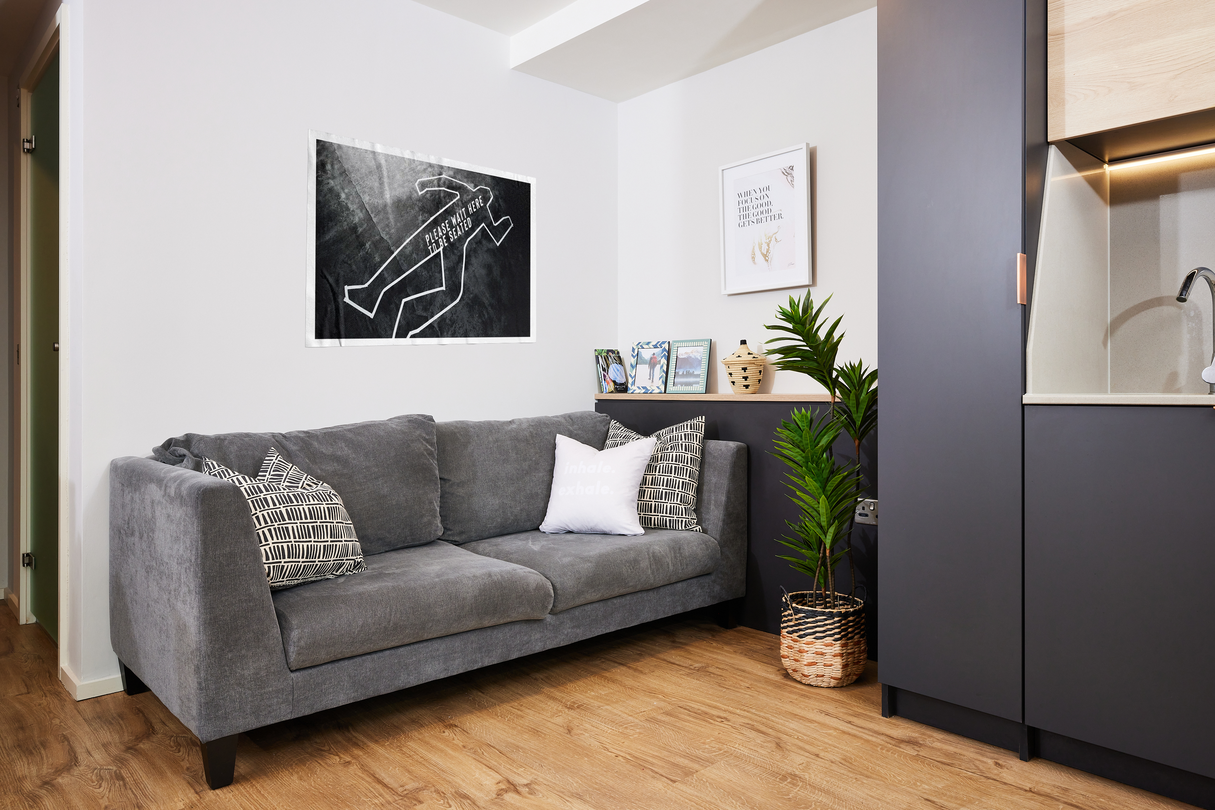 A modern living room with a gray sofa adorned with black and white patterned cushions. Above, two framed artworks hang on a white wall. A potted plant is beside the sofa, and a kitchenette is visible to the right. Light wood flooring enhances the cozy vibe.