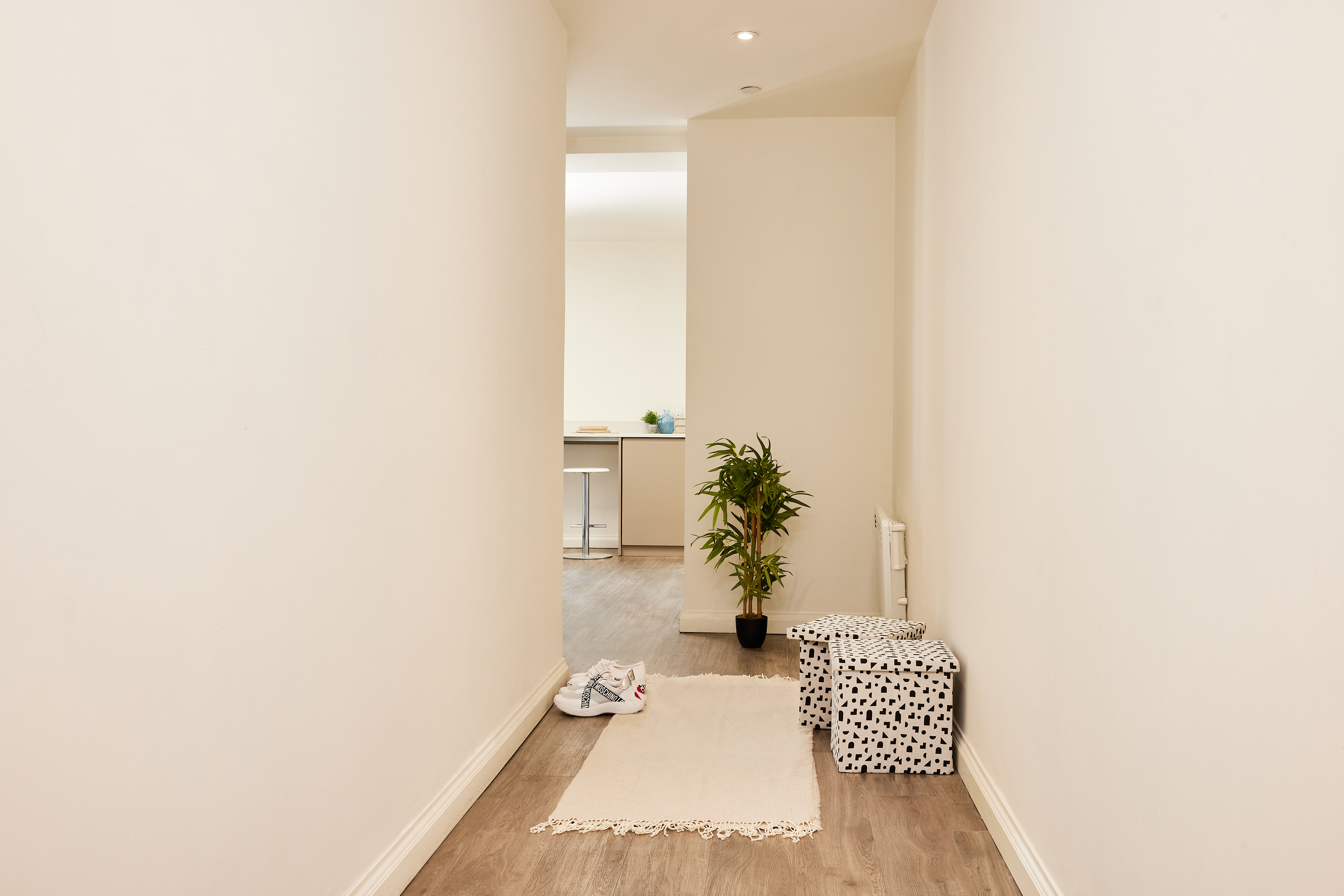 A narrow hallway with light-colored walls and wooden flooring leads to a kitchen area, capturing the architectural charm reminiscent of Telephone House. A small green plant in a black pot sits on the right side, next to two spotted storage boxes. A white rug and pair of white shoes add a cozy touch.