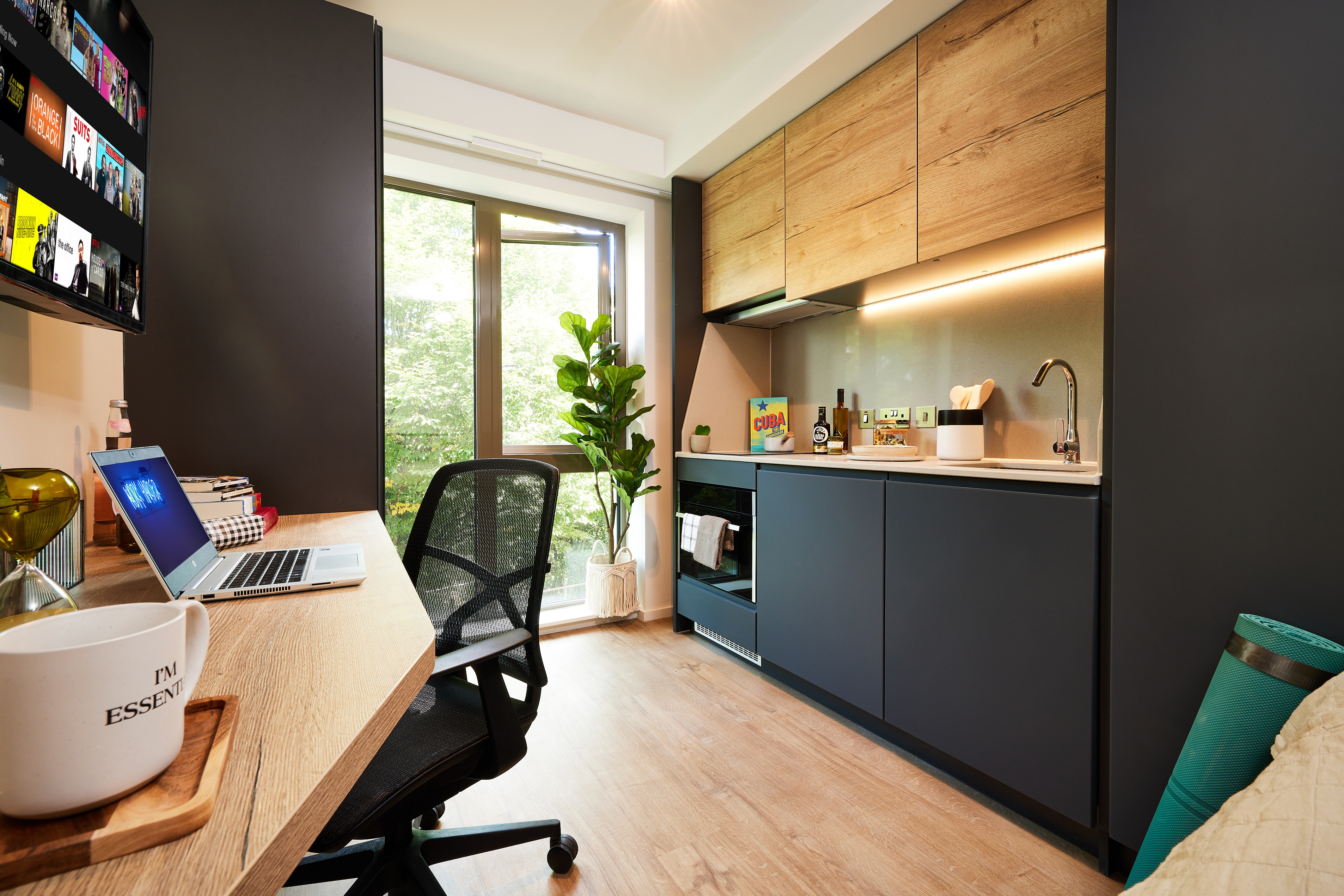 Modern studio apartment with a light wood floor located near Warwick. Features a desk with a laptop and chair, shelves with books and decor, a kitchenette with wooden cabinetry, and a potted plant by a window. A TV displays various streaming options for relaxation at Cannon Park.