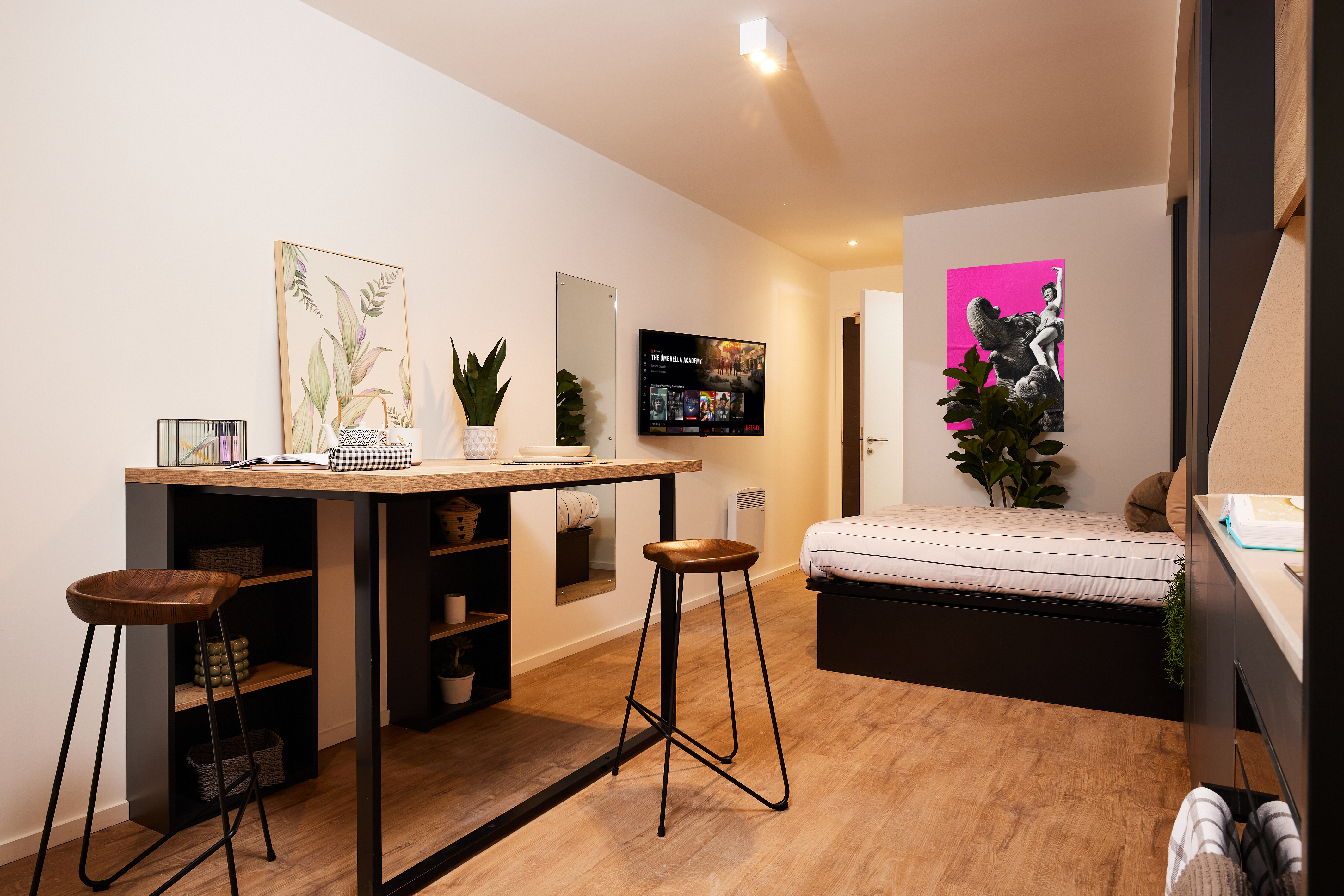 Located in the vibrant Cannon Park area, this modern studio apartment boasts wooden flooring. It features a bed, a TV on the wall, a tall table with two stools, and plants. A colorful artwork hangs near the bed, creating a well-lit and stylishly arranged living space.