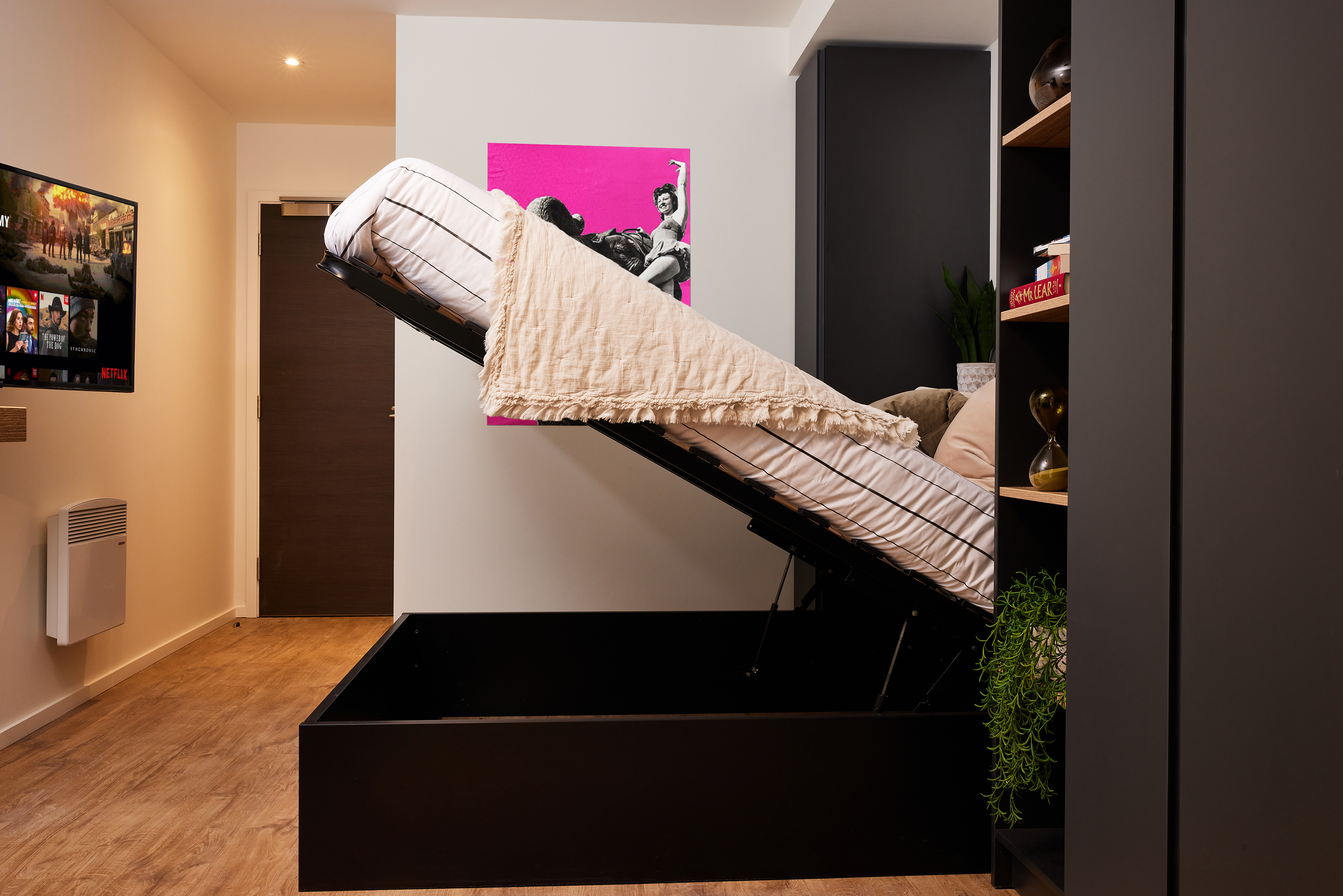 A modern room at Warwick with a wooden floor features a fold-up bed partially lifted, revealing storage space beneath. A vivid pink art piece hangs on the wall, and a flat-screen TV displays a paused show. To the right, near Cannon Park, sits a bookshelf adorned with plants.