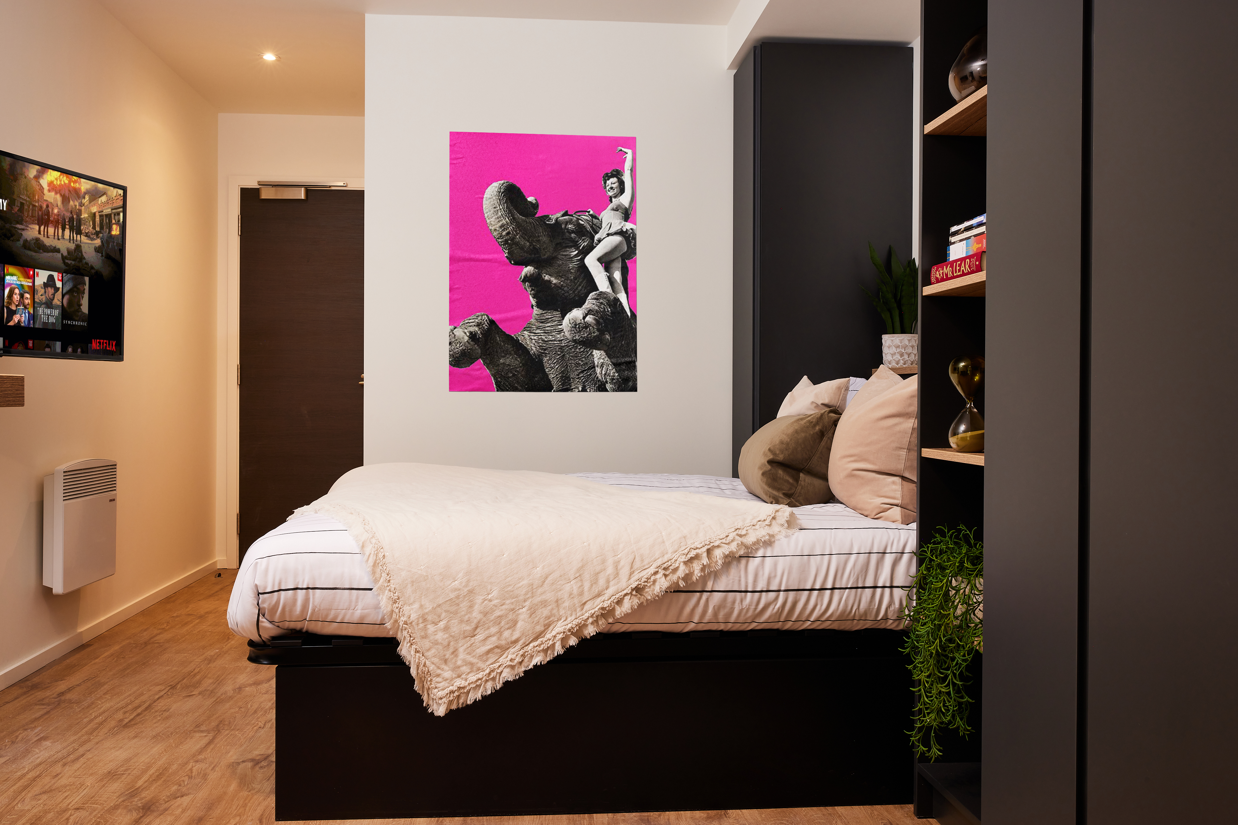 A modern bedroom in Warwick features a neatly made bed with white and beige linens. A vibrant wall art of a person atop an elephant against a pink background adorns the wall. A TV is mounted near the door, while shelves hold plants and books, adding charm reminiscent of Cannon Park's lively aura.