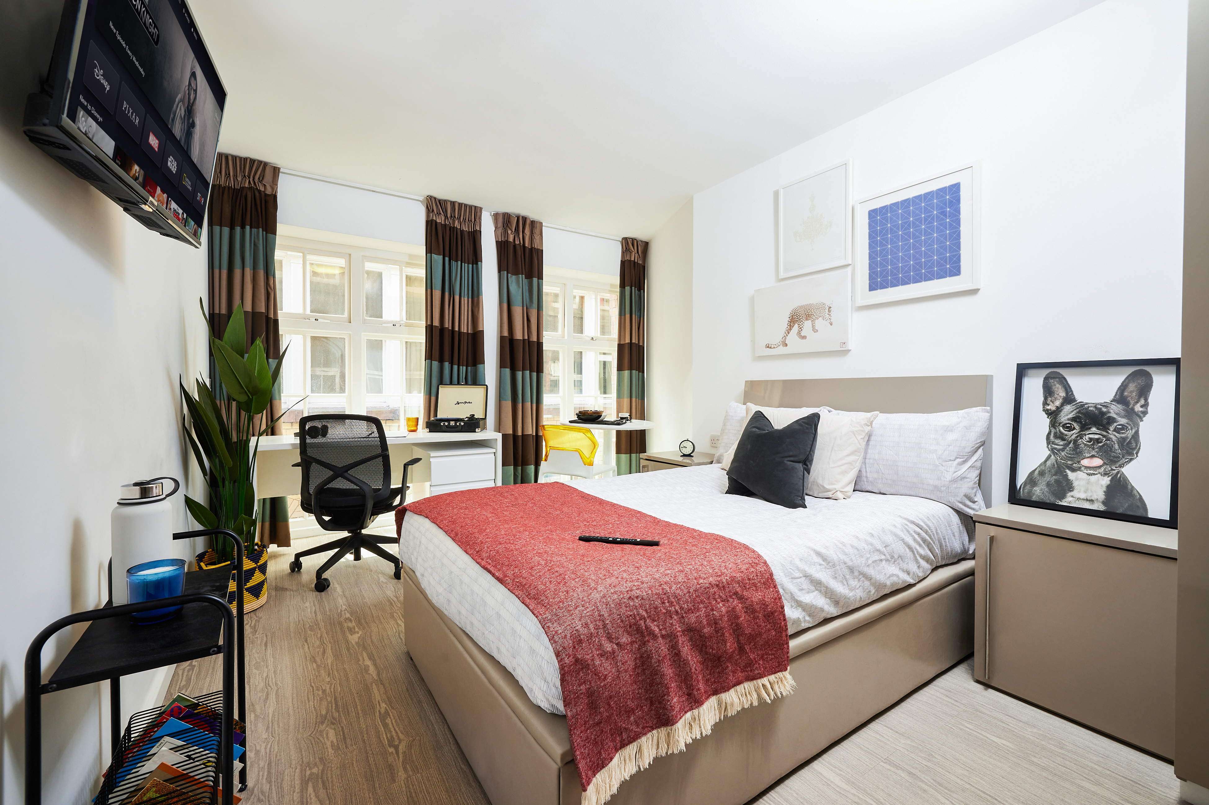 A modern luxury student accommodation features a neatly made double bed with white and red bedding, a wall-mounted TV, a desk with a computer, an office chair, and large windows. The decor includes a charming dog painting and lush indoor plants.