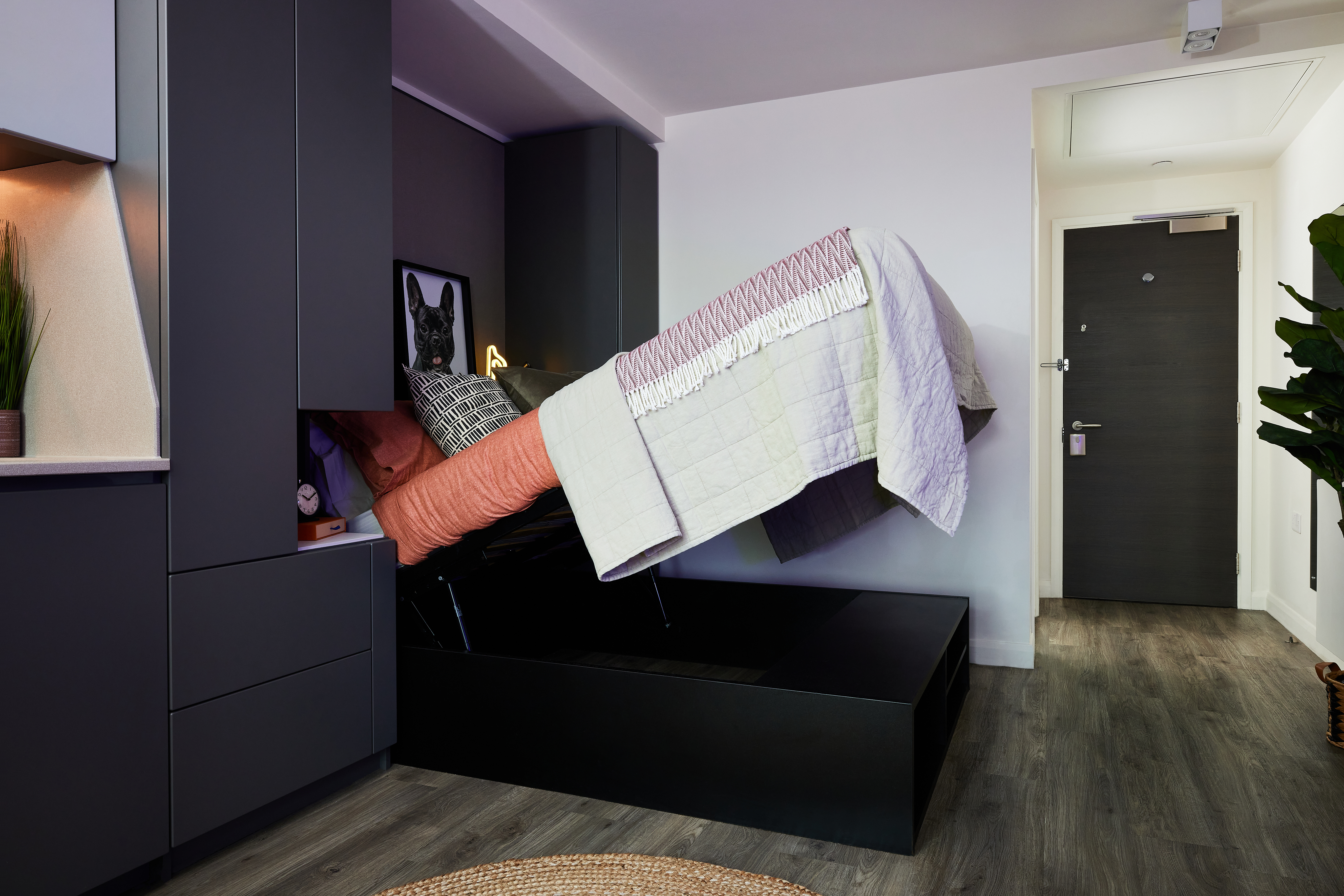 A small modern bedroom features a bed that lifts for storage underneath. The room has dark cabinets, a plant on a shelf, and a square woven rug on the wood flooring. A black-and-white framed dog portrait sits on a side table near the circle handle of the door in the background.