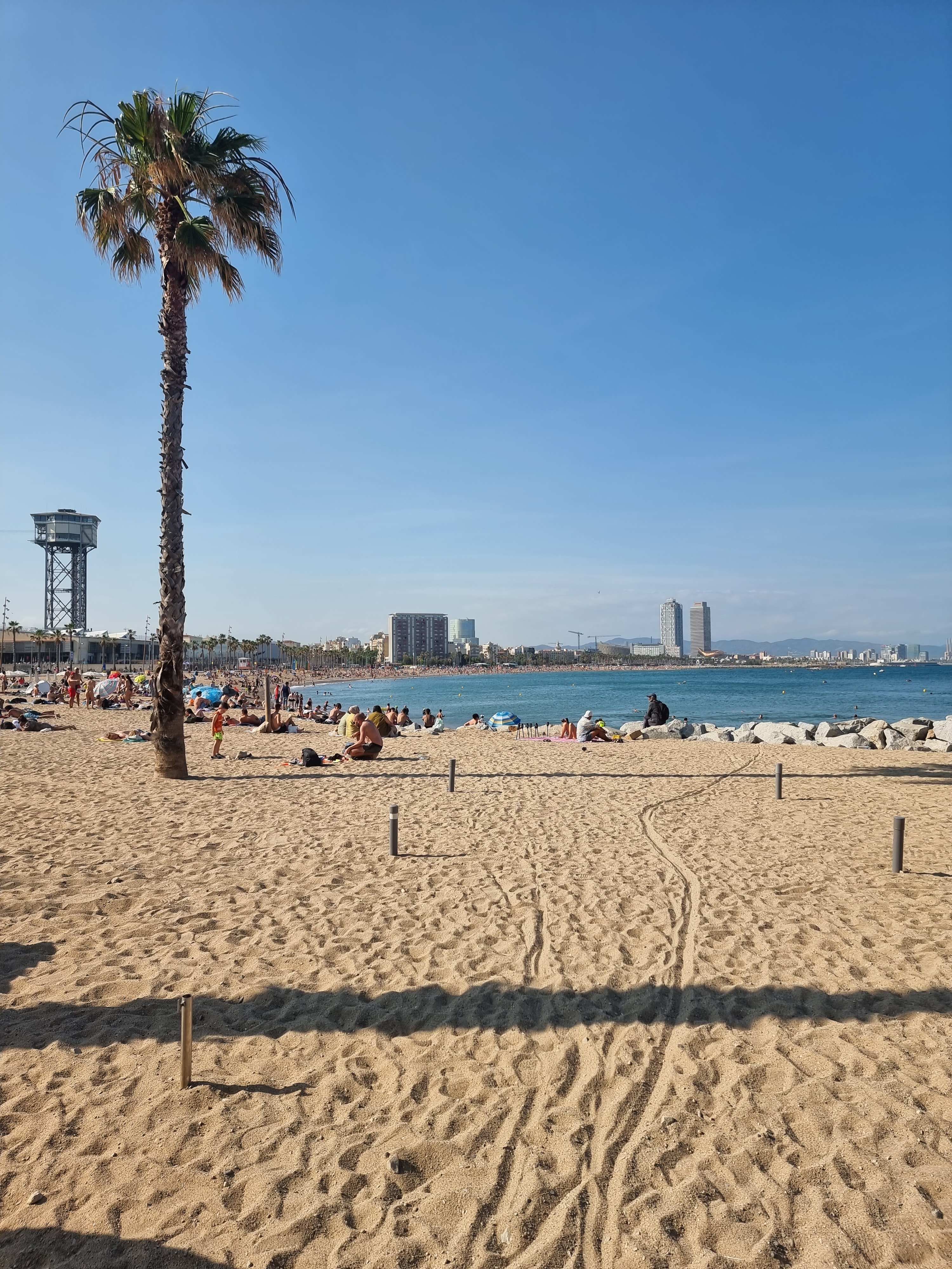 The sandy beach with a tall palm tree, bustling with people sunbathing, stretches 10 minutes from Vita Student Poblenou. The ocean extends to the horizon while buildings and a tower punctuate the clear blue sky. Qué puedes hacer in this vibrant area is limitless.