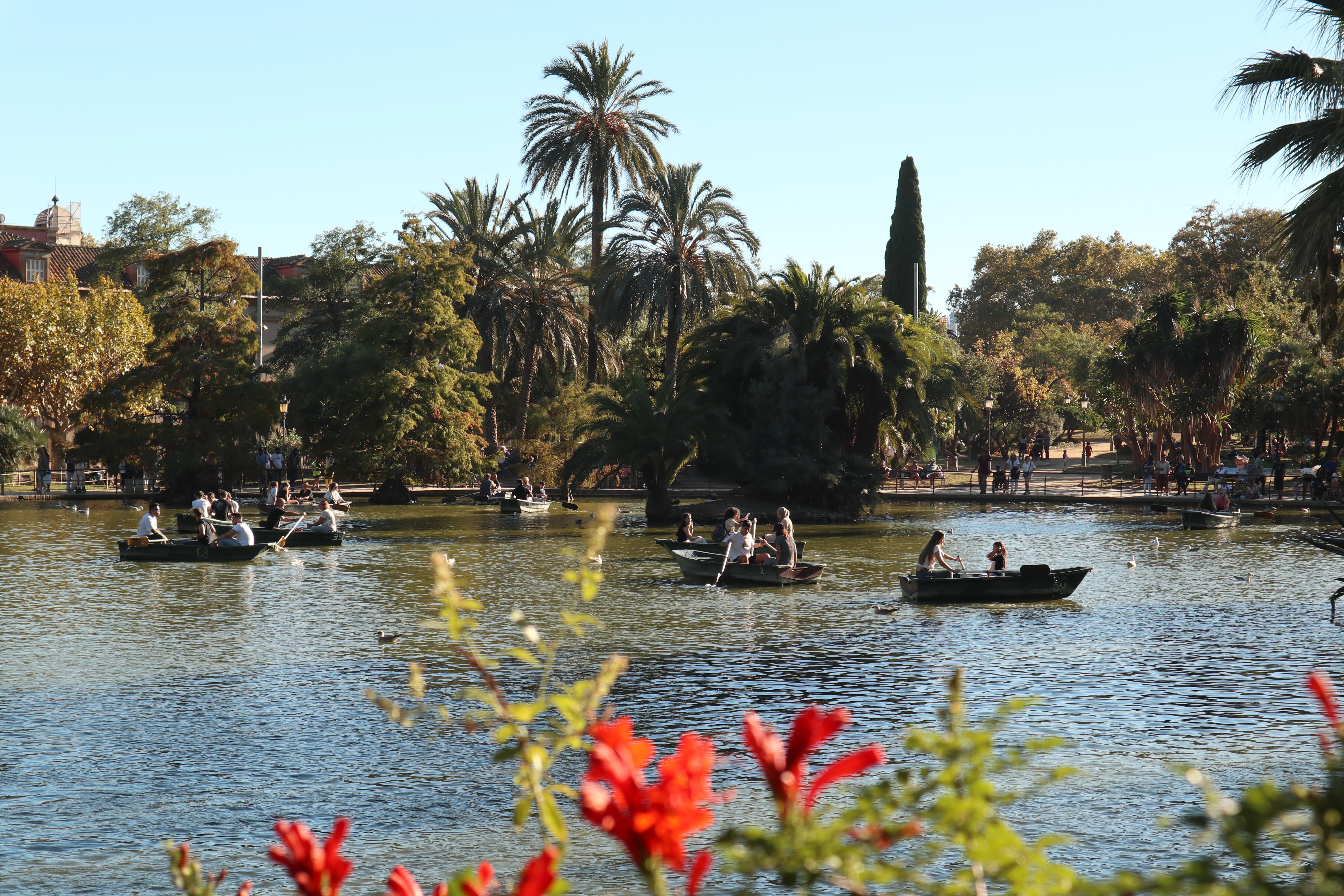 Boaters navigate a tranquil lake surrounded by lush trees and palm trees under a clear blue sky. In this picturesque scene reminiscent of Barcelona's serene retreats, vibrant red flowers in the foreground add a splash of color, creating an enchanting escape for any estudiante seeking peace.