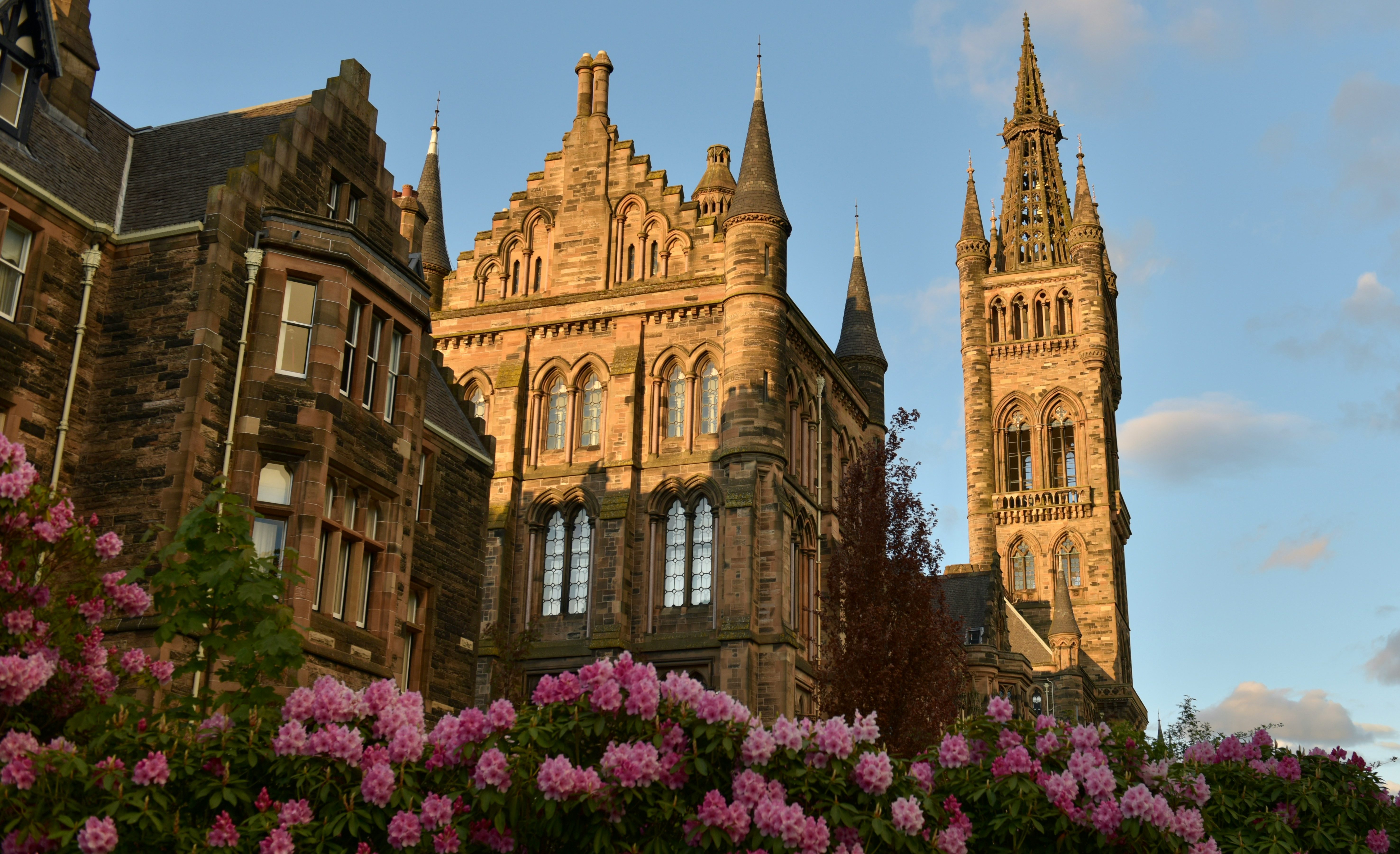 A historic stone building with ornate architecture and a tall clock tower stands illuminated by warm sunlight, reminiscent of Vita Student living spaces. In the foreground, vibrant pink flowers add contrast to the scene. The sky is partly cloudy, suggesting a peaceful setting ideal for university study.