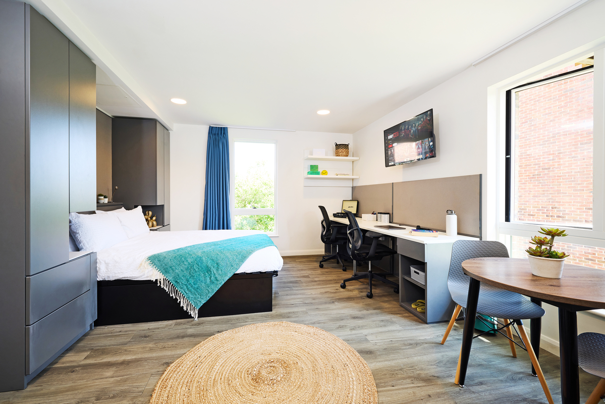 Modern, bright room with a bed, teal blanket, and pillows. A desk with a chair is by the window, which has blue curtains. A round table with chairs is nearby, and a TV hangs on the wall. A small plant decorates the space. Light wood flooring throughout.