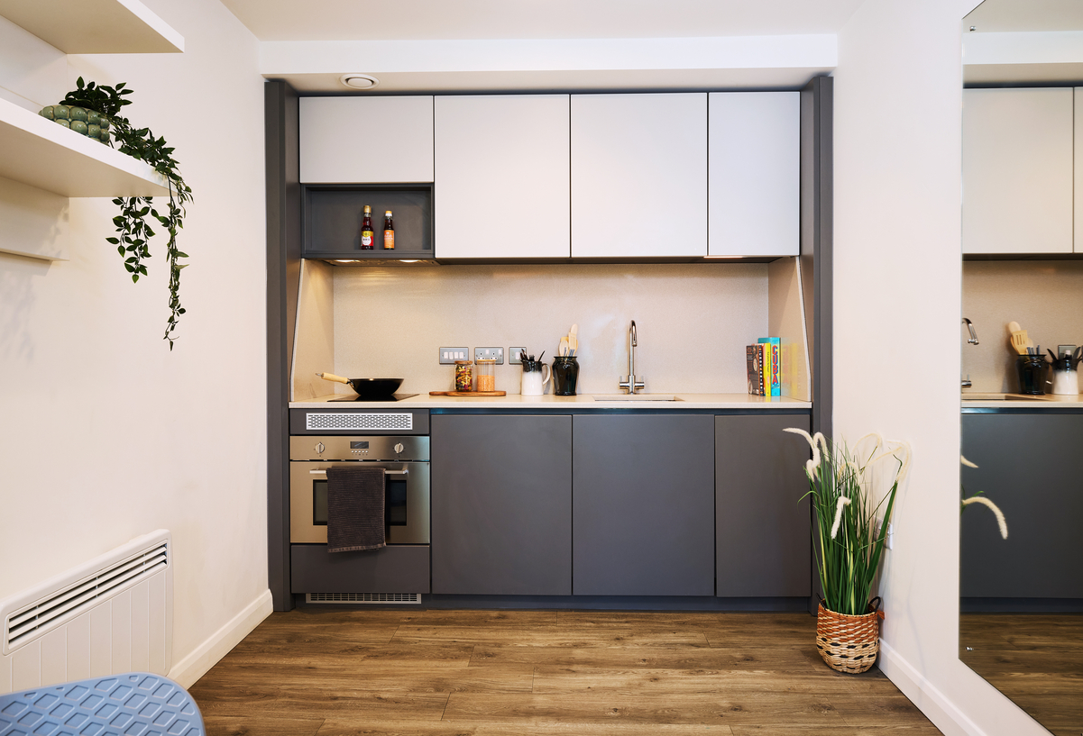 Modern kitchen with sleek gray and white cabinets, an oven, and a sink. Shelves hold plants and spices. A potted plant sits on the wooden floor. Bright lighting and minimalistic design create a clean, contemporary look.