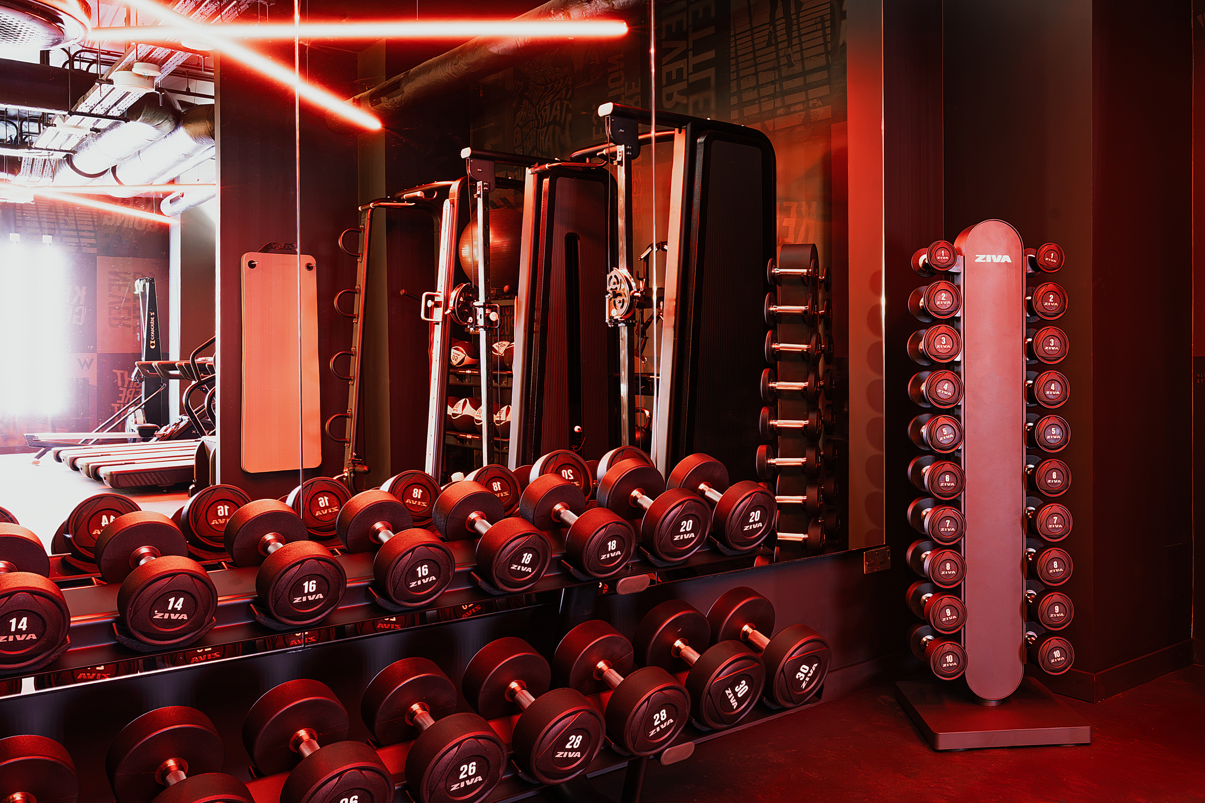 Rows of dumbbells in front of a mirror at New Waverley gym, with weight machines and racks visible in the background, illuminated by red lighting.