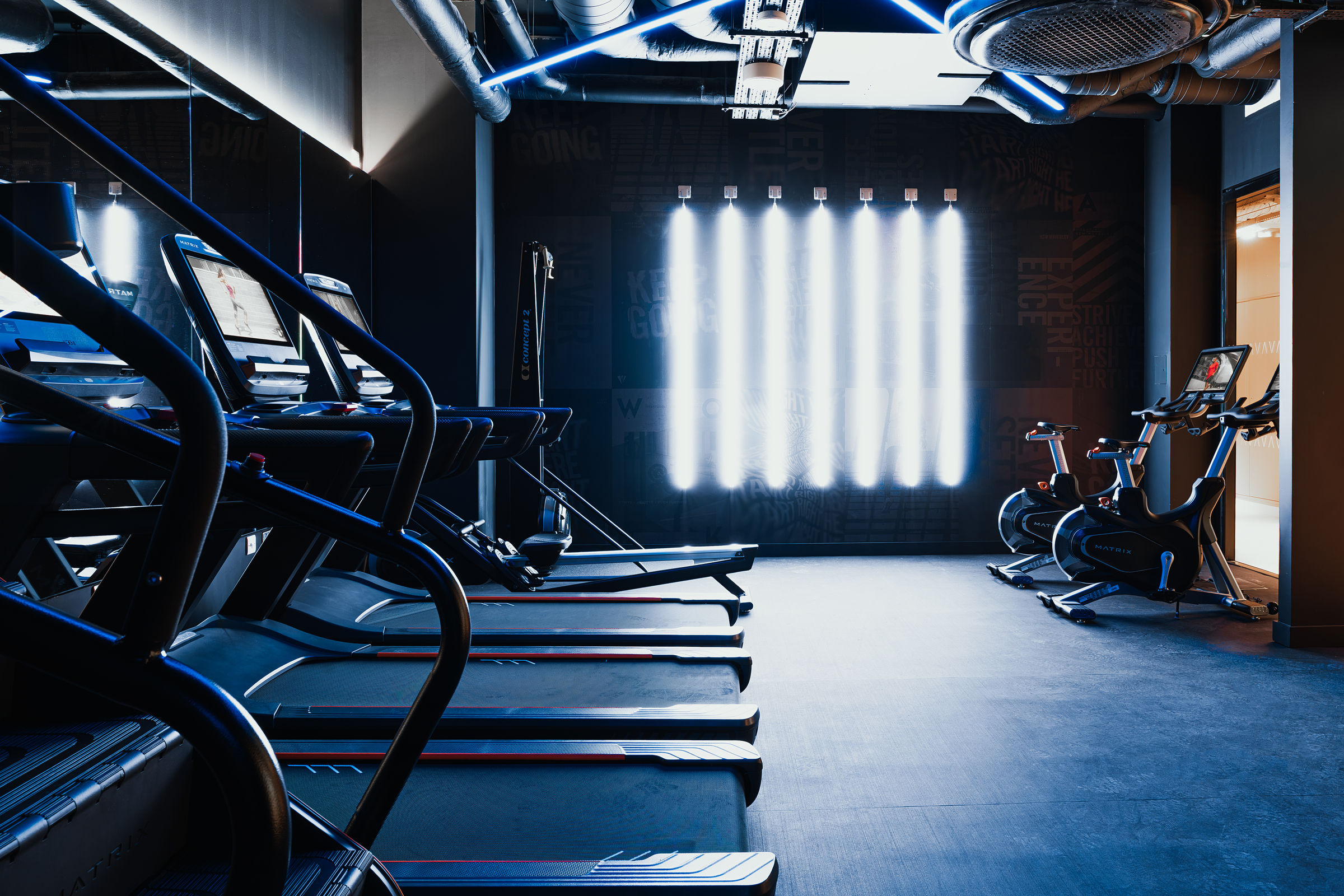 Row of treadmills on the left and stationary bikes on the right in a modern, dimly lit New Waverley gym with bright vertical lights on the back wall.