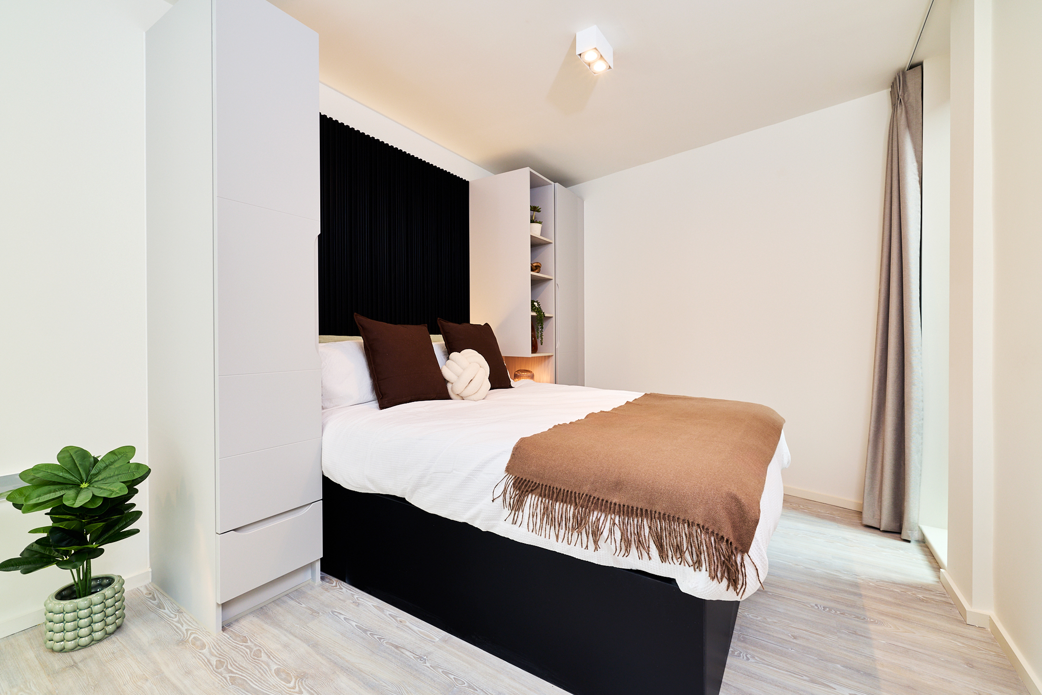 Modern bedroom on Gough Street with white walls, a bed with white linens, brown pillows and throw, built-in shelving on both sides, a potted plant on the floor, and a large window with gray curtains letting in natural light.