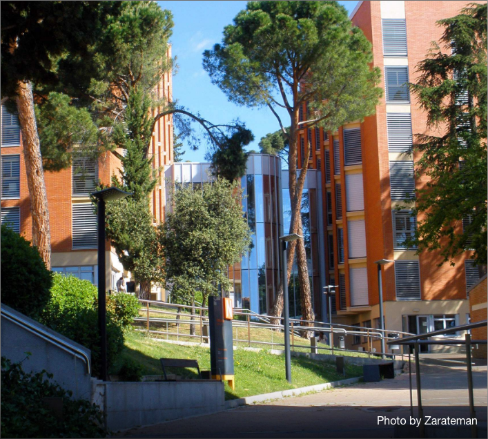 A campus pathway slopes upward between modern brick and glass buildings—some offering student accommodation in Madrid—surrounded by green trees and lawns under a clear blue sky. Black street lamps line the walkway.