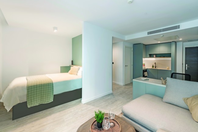 Modern studio apartment with a bed, small kitchen, sofa, and table with plants and glassware. Light wood floors and pastel green accents create a clean, inviting atmosphere.