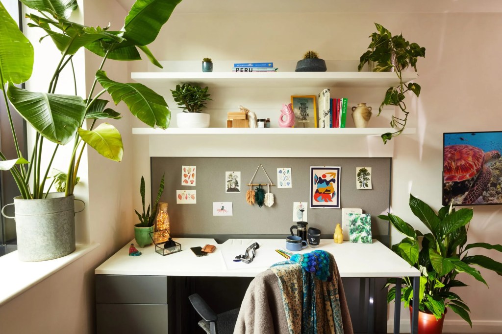 A bright, organized student room home office with a white desk, plants on shelves, art prints and decorations on the wall, books, and a comfy chair draped with a colorful blanket—sunlight streams in to make it feel like home.