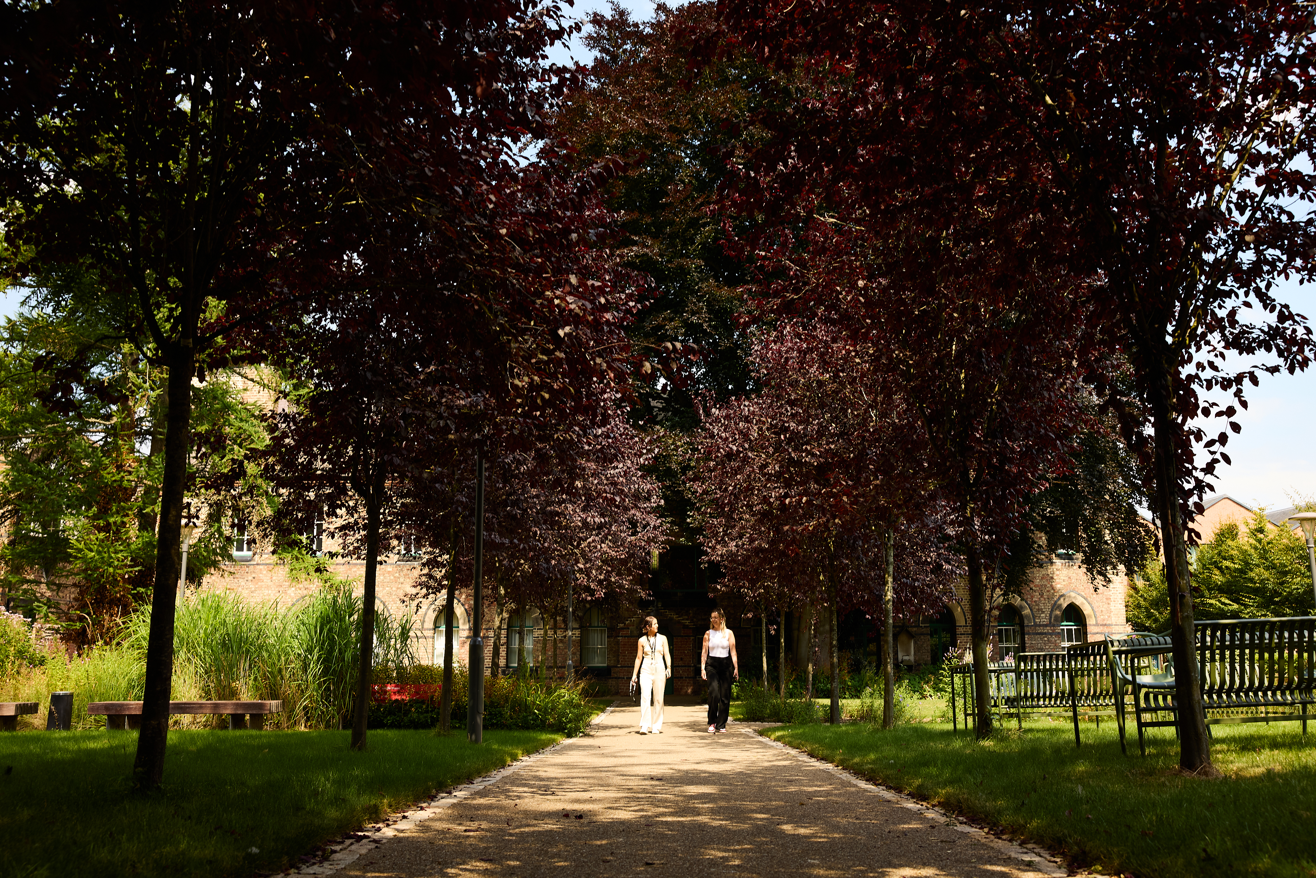 Two people walk along a tree-lined path in a sunlit York park, with benches and a historic brick building visible in the background, capturing moments perfect for Student Stories.