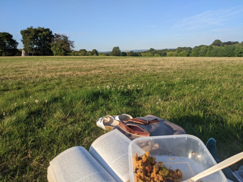 An open book, a container of food, and sunglasses rest on grass in a sunny field—an inviting scene perfect for students enjoying day trips around Manchester. Trees line the horizon under a clear blue sky, suggesting a peaceful picnic or reading session outdoors.