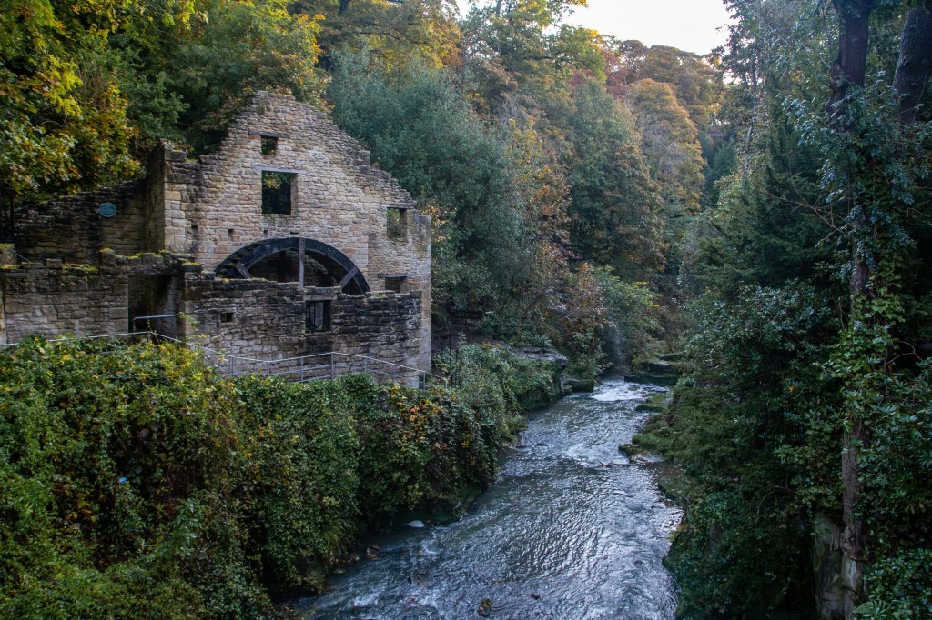 An old stone watermill with a large waterwheel sits by a flowing river, surrounded by dense green trees and vegetation—offering an idyllic retreat reminiscent of the best places to live in Newcastle for those seeking tranquility while living in Newcastle for students.