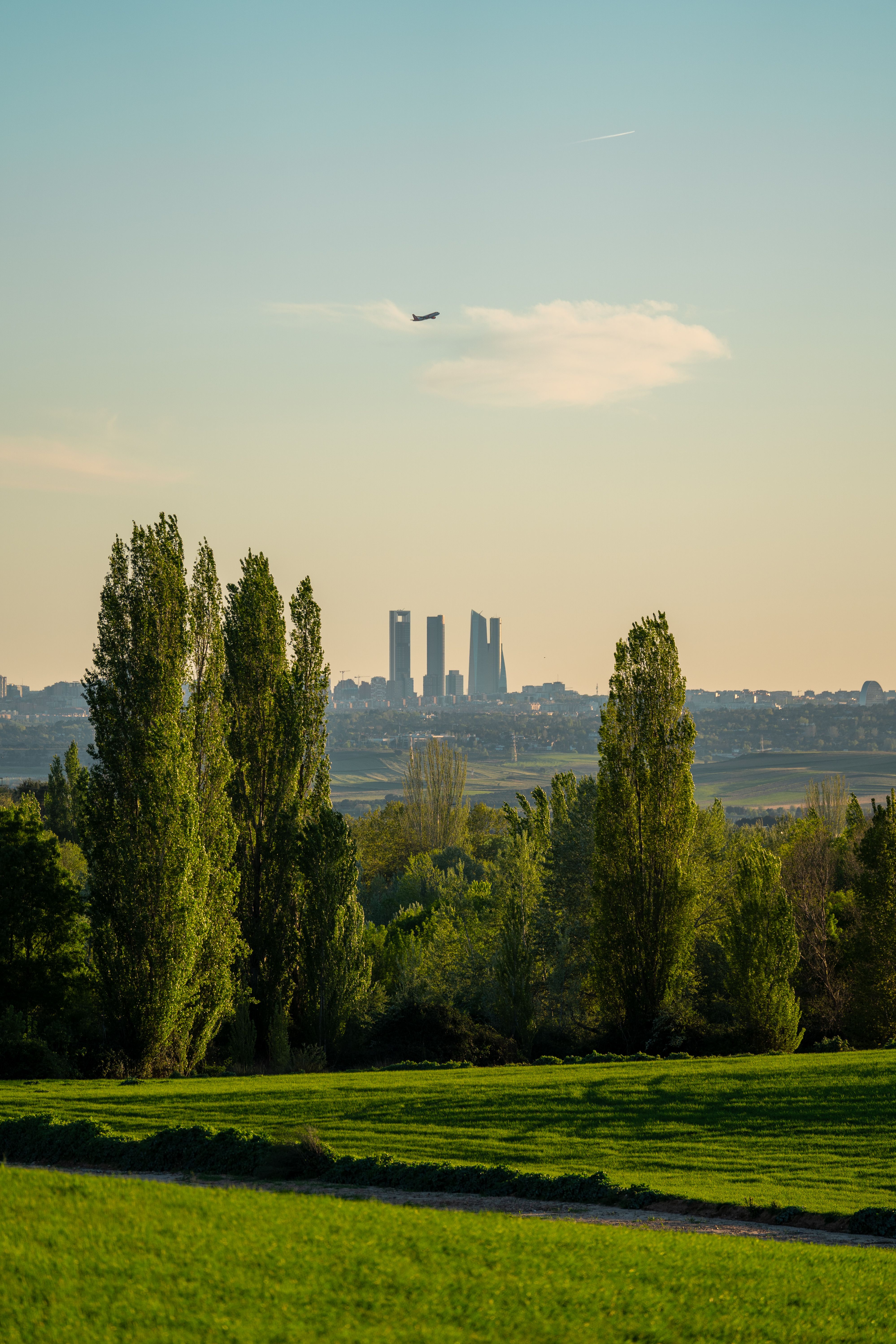 A green field with tall trees in the foreground, where students from Oria often gather to relax, a city skyline with four modern skyscrapers in the background, and an airplane flying over the city under a clear sky.