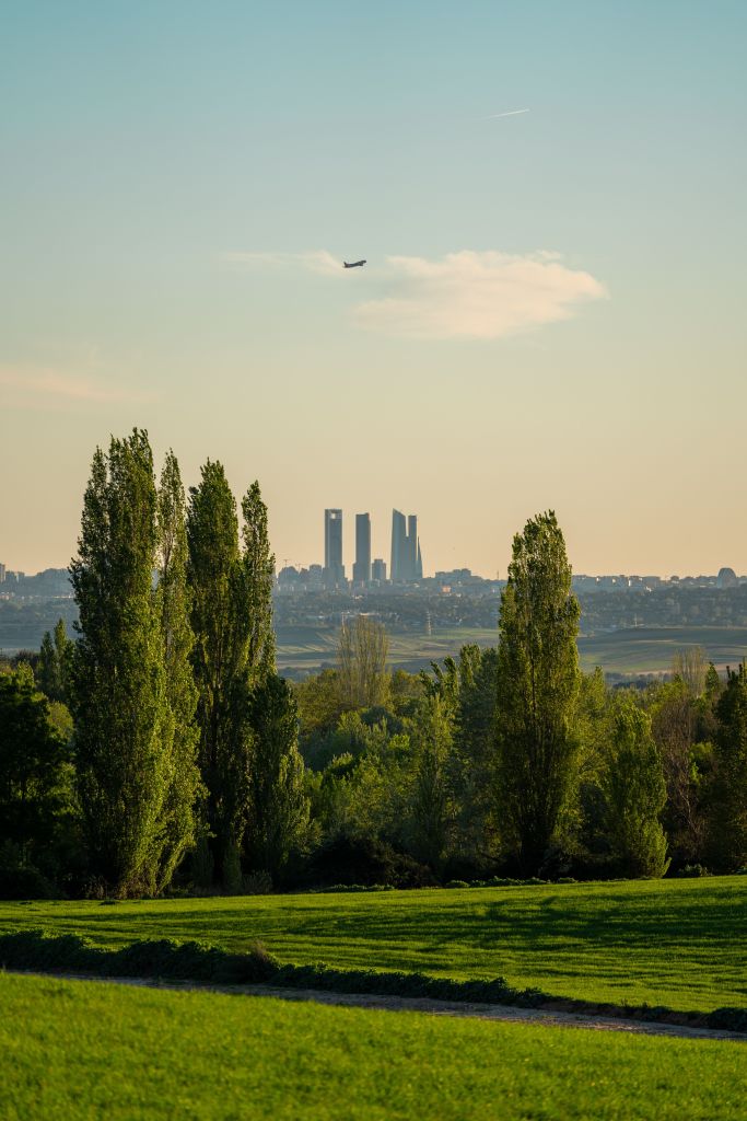 A green field with tall trees in the foreground, where students from Oria often gather to relax, a city skyline with four modern skyscrapers in the background, and an airplane flying over the city under a clear sky.