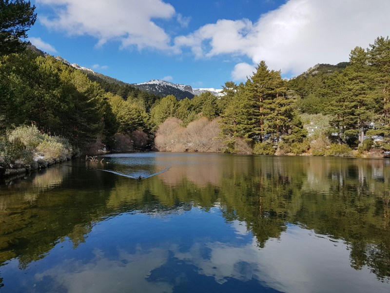 A serene lake surrounded by pine trees and bushes, with distant mountains under a partly cloudy blue sky, reflecting in the calm water—a perfect spot for students seeking peaceful day trips from Madrid.