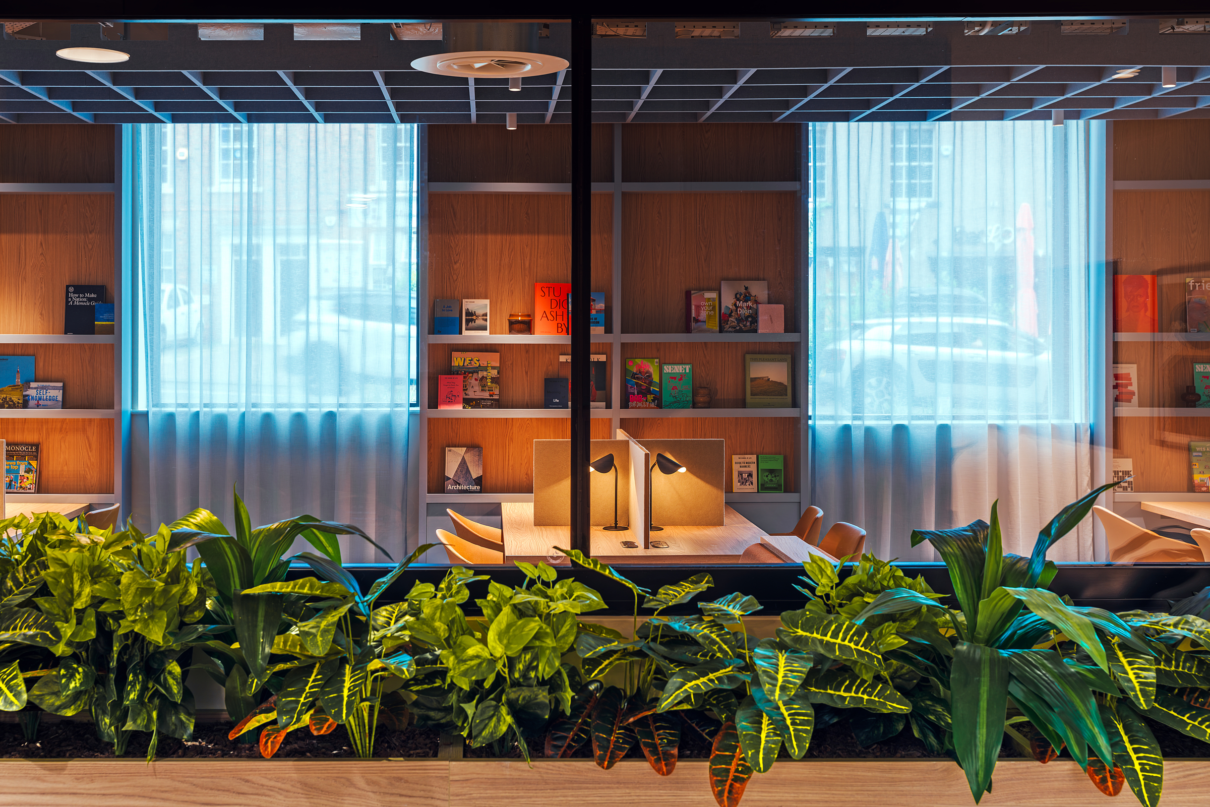 A modern library room with wooden shelves lined with books, two large windows with sheer curtains, a wooden table with lamps, chairs, and a planter with green plants in the foreground—perfectly welcoming for visitors on open day.