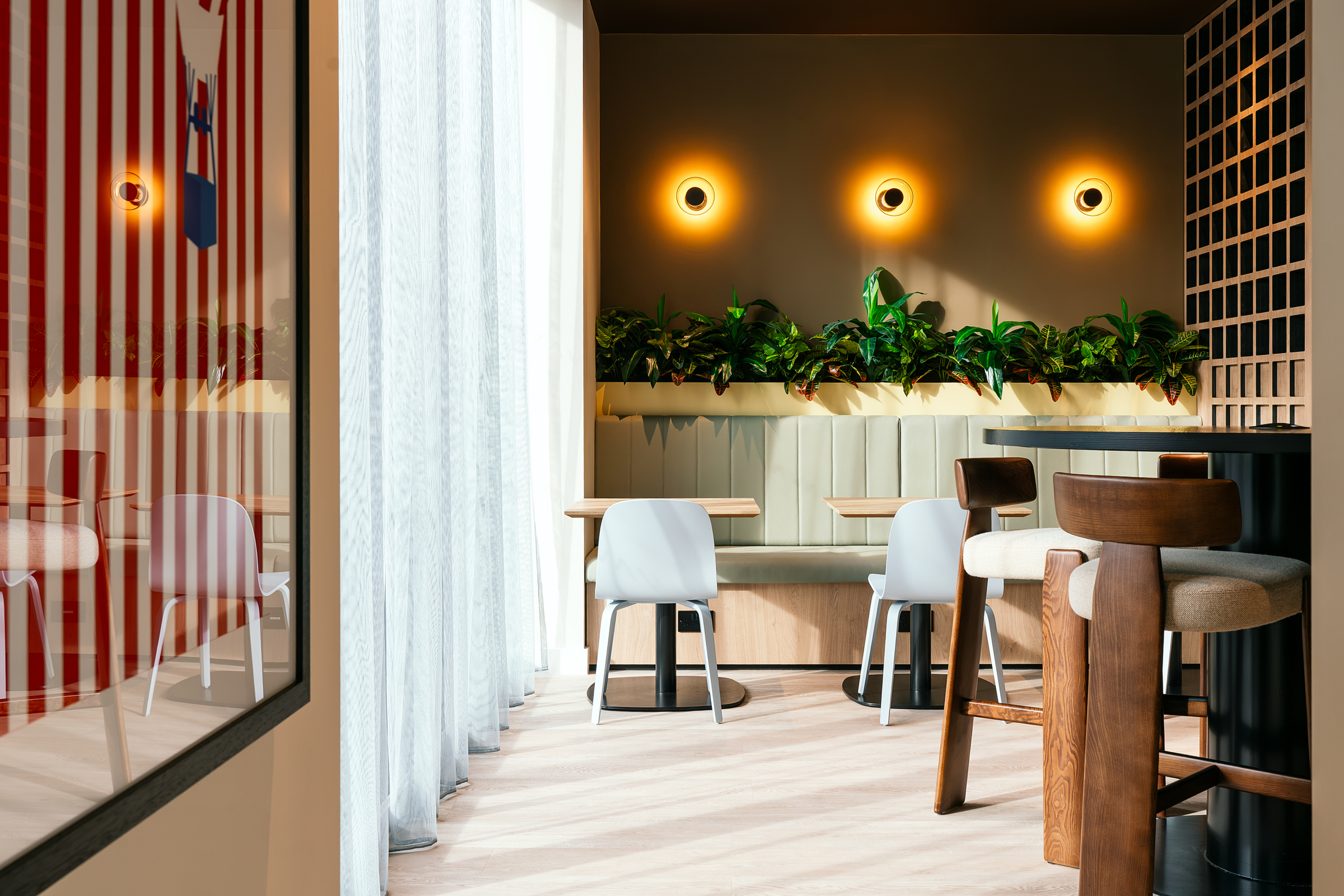 A modern café with light wooden floors, white chairs, wooden tables, green wall plants, and three round wall lights glowing above welcomes guests for its open day. Sunlight streams through sheer curtains on the left.