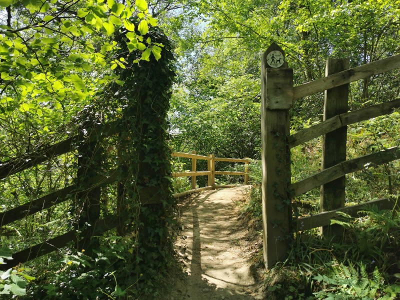 A dirt path leads through an opening in a wooden fence into a lush, green forest, a perfect spot for student day trips near Birmingham.